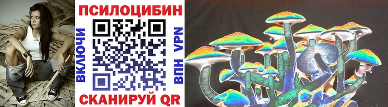 Псилоцибиновые грибы Cubensis  KRAKEN ссылка  Болгар 